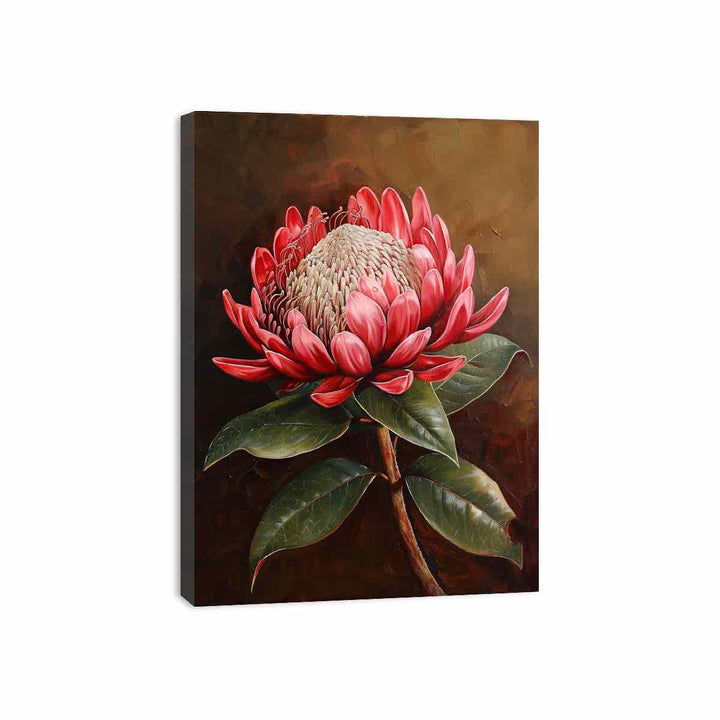 Waratah  Canvas Print