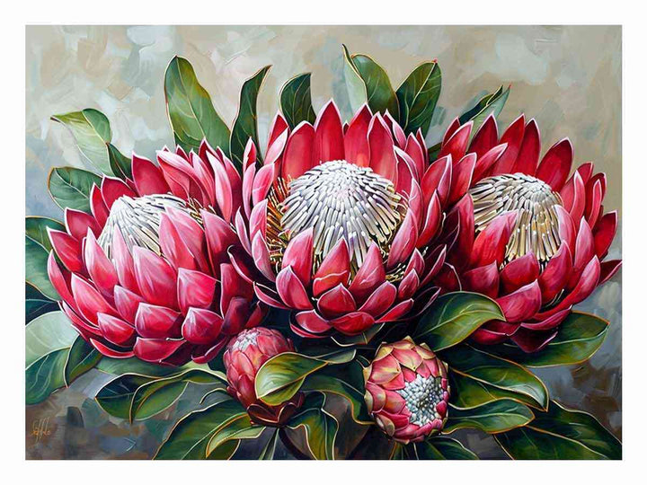 Waratah 