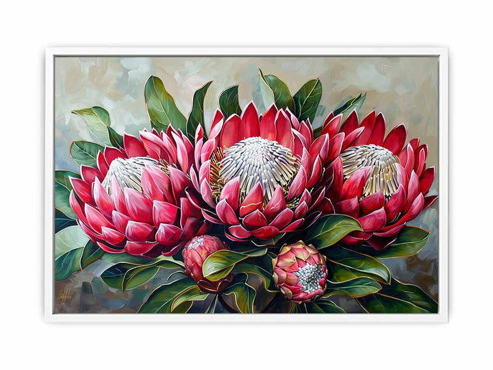 Waratah  Framed Print