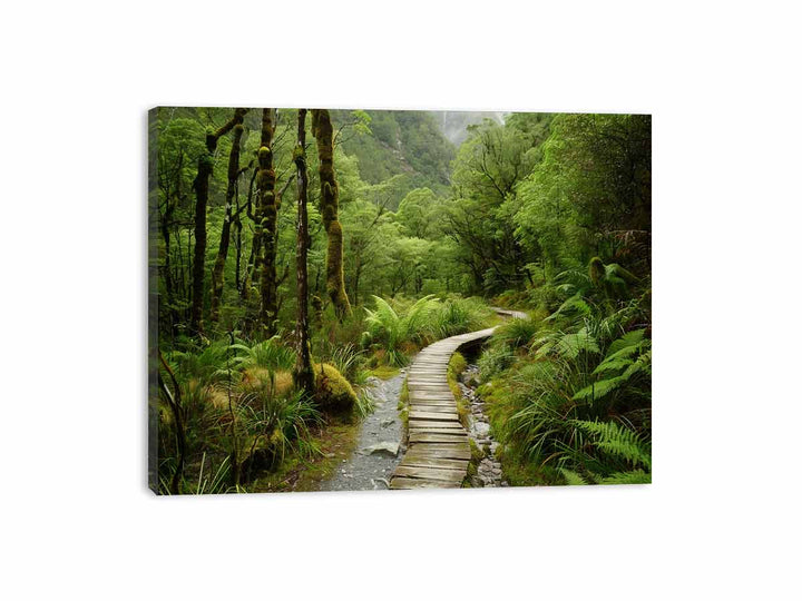 Milford Track  Canvas Print