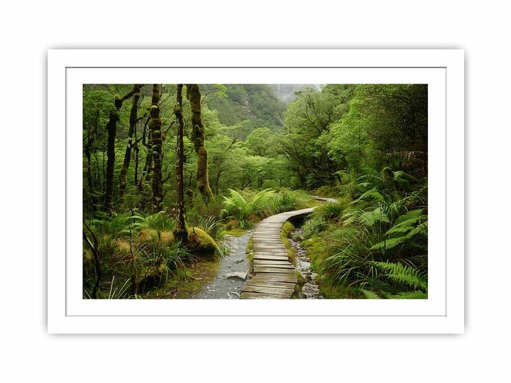 Milford Track  Streched canvas