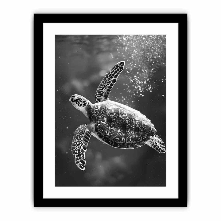 Underwater Turtle   Art Print