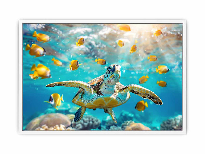 Underwater Turtle  Framed Print