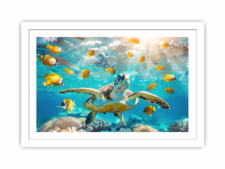 Underwater Turtle  Streched canvas