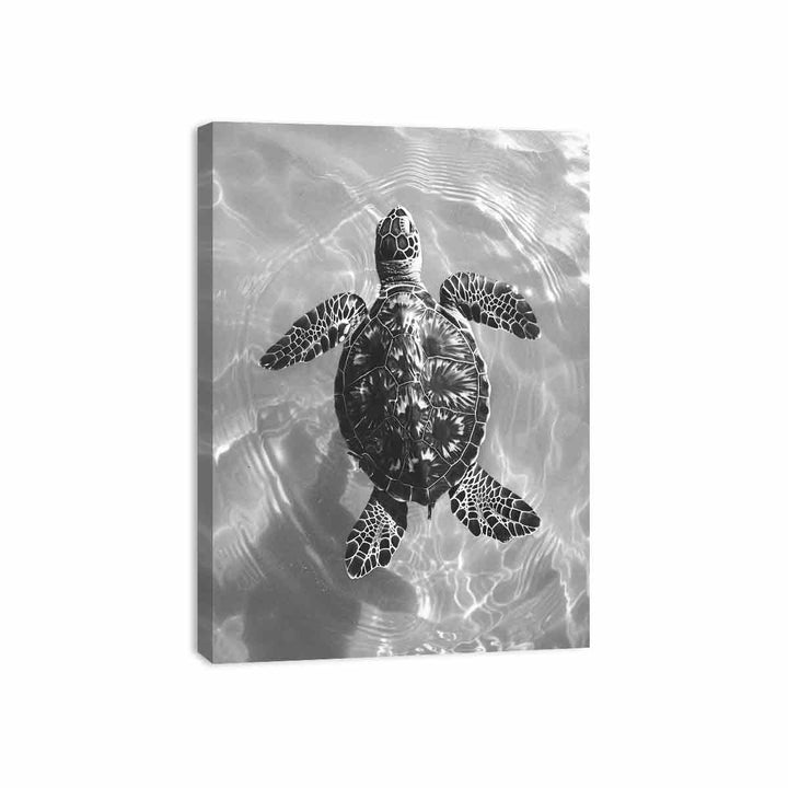 Just In Water Canvas Print