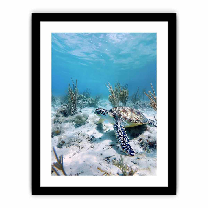 Underwater Turtle   Art Print