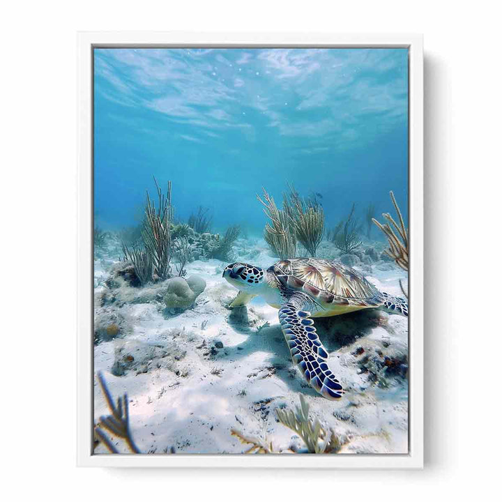 Underwater Turtle  Framed Print