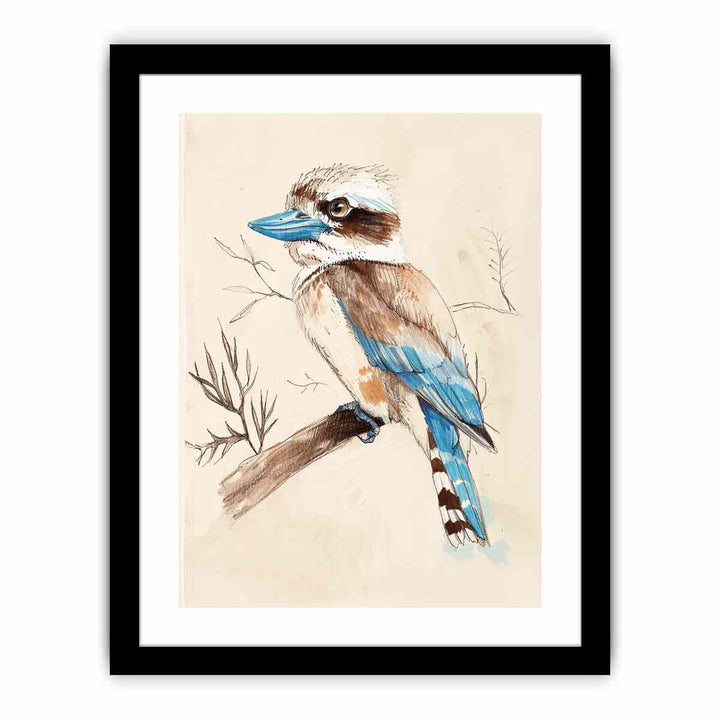 Cute Kookaburra   Art Print