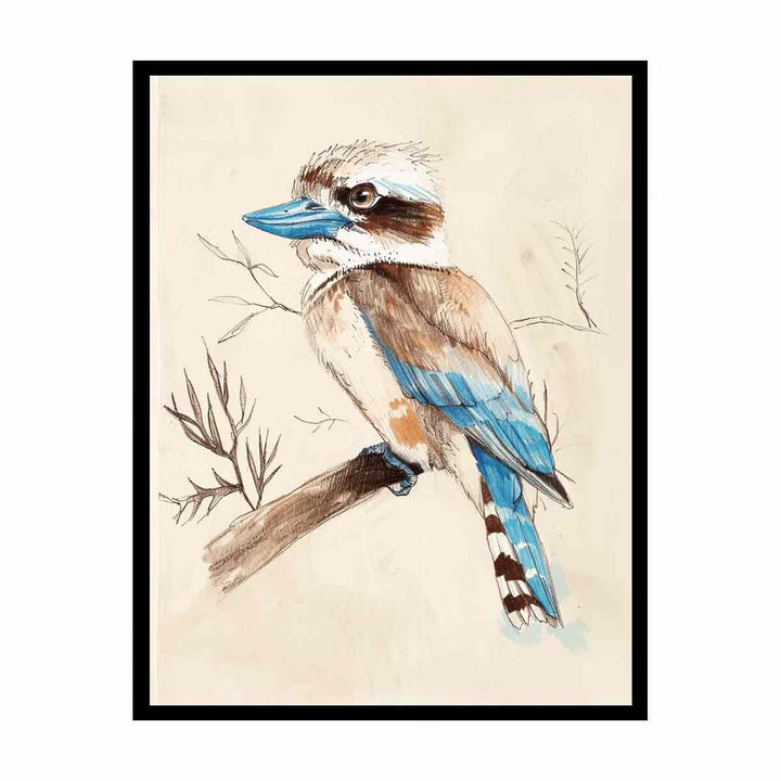 Cute Kookaburra   Painting