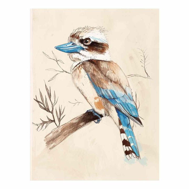 Cute Kookaburra 