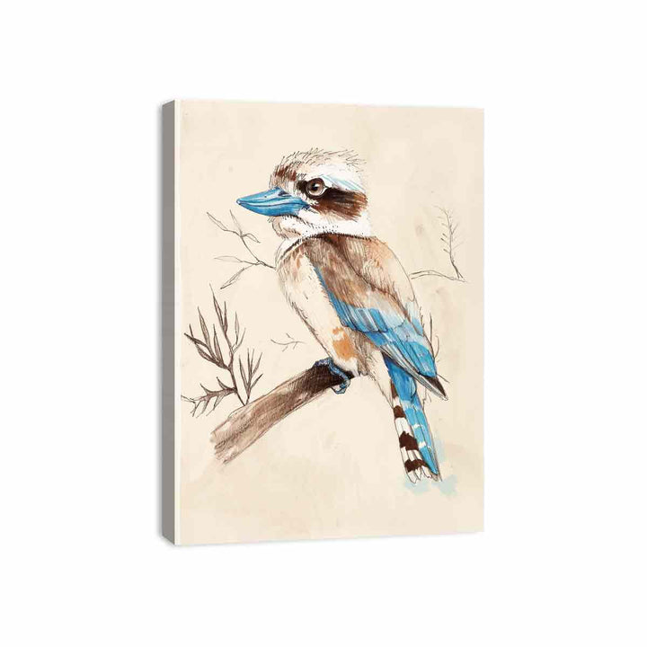 Cute Kookaburra  Canvas Print