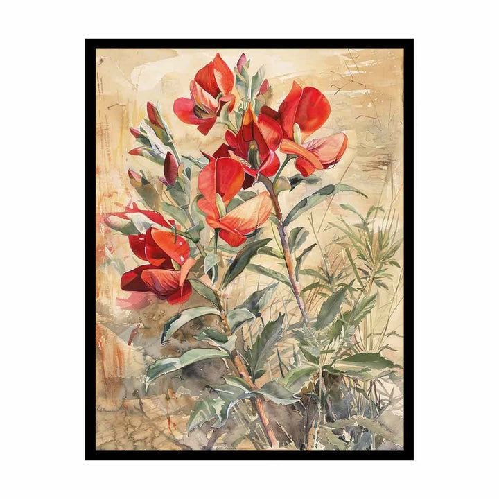 Sturts Desert Pea  Painting