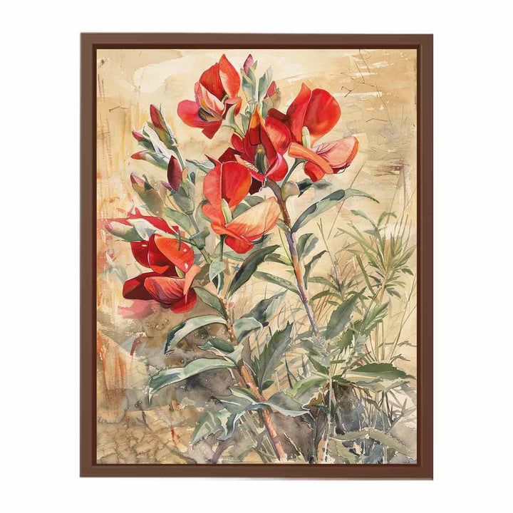 Sturts Desert Pea  Poster