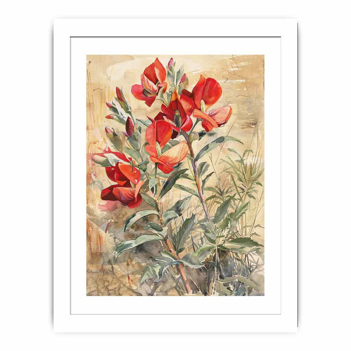 Sturts Desert Pea Streched canvas