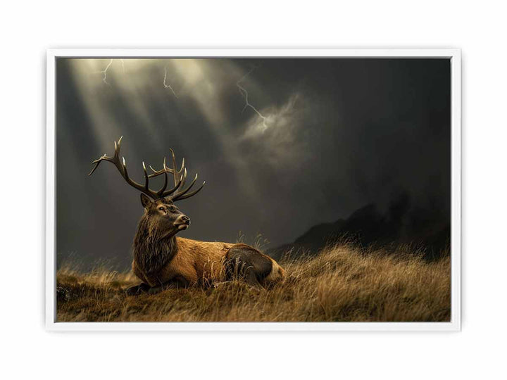 Majestic Stag Framed Print