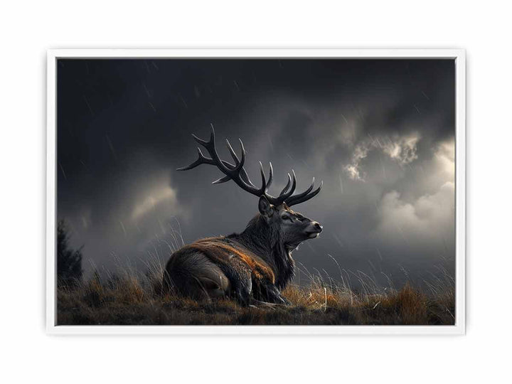 Majestic Stag Framed Print