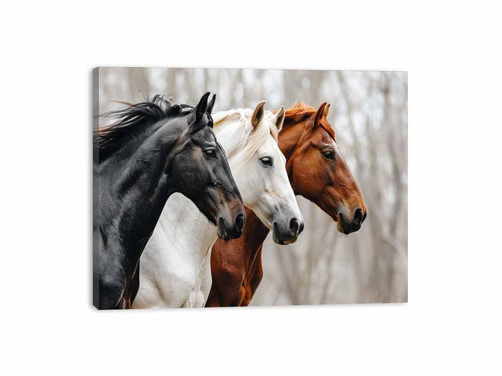 Three Horses Canvas Print