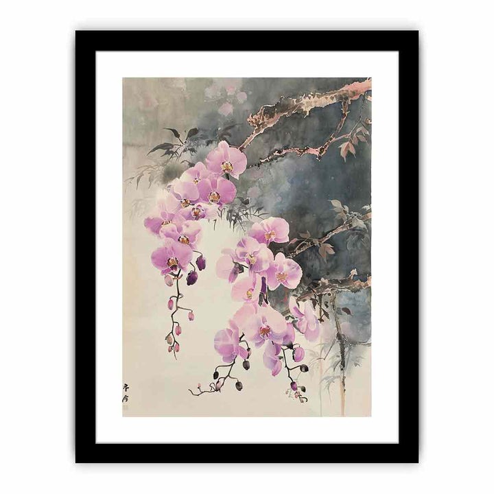 Swainsona Formosa   Art Print