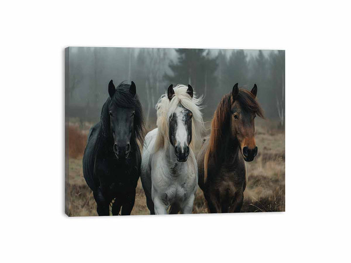 Three Horses  Canvas Print