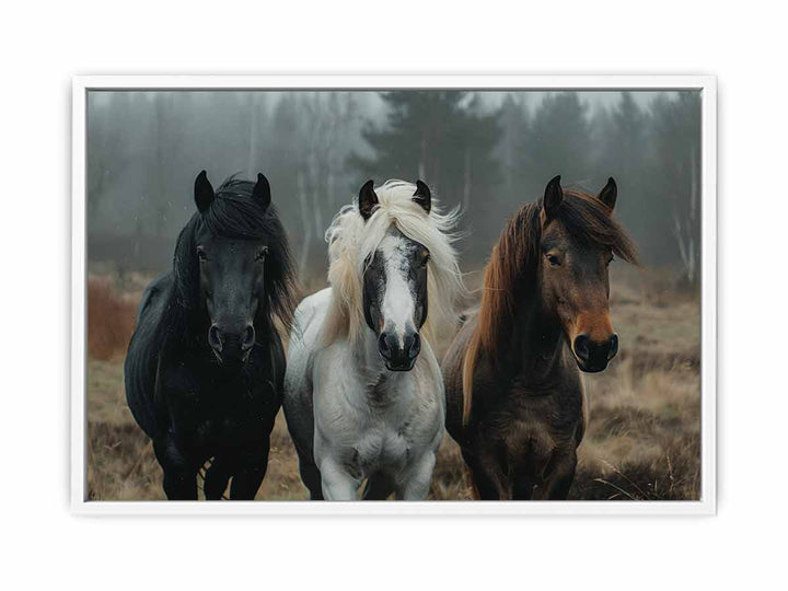 Three Horses  Framed Print