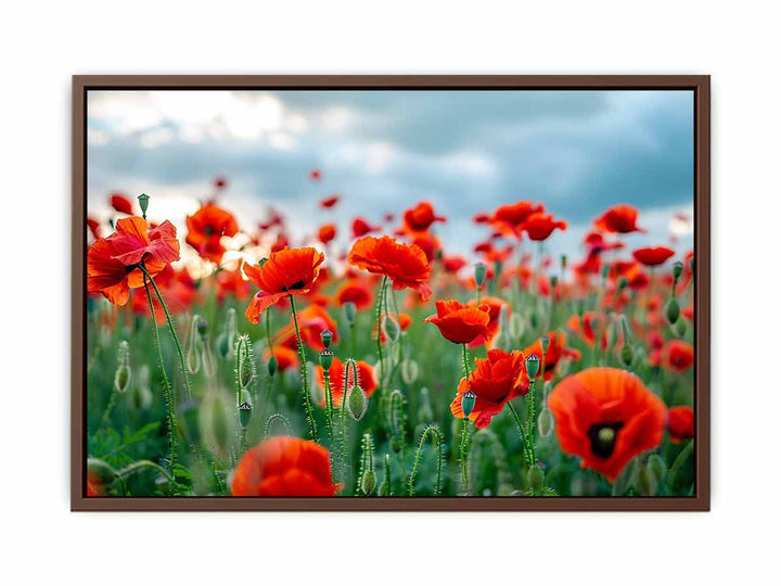 Red Poppy Filed   Poster