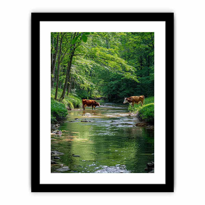 Magestic Cows  Art Print