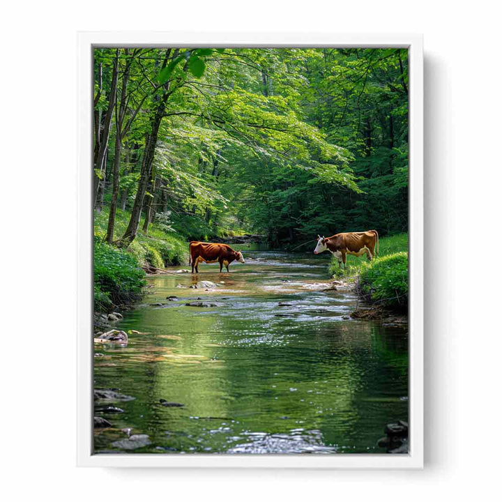 Magestic Cows Framed Print