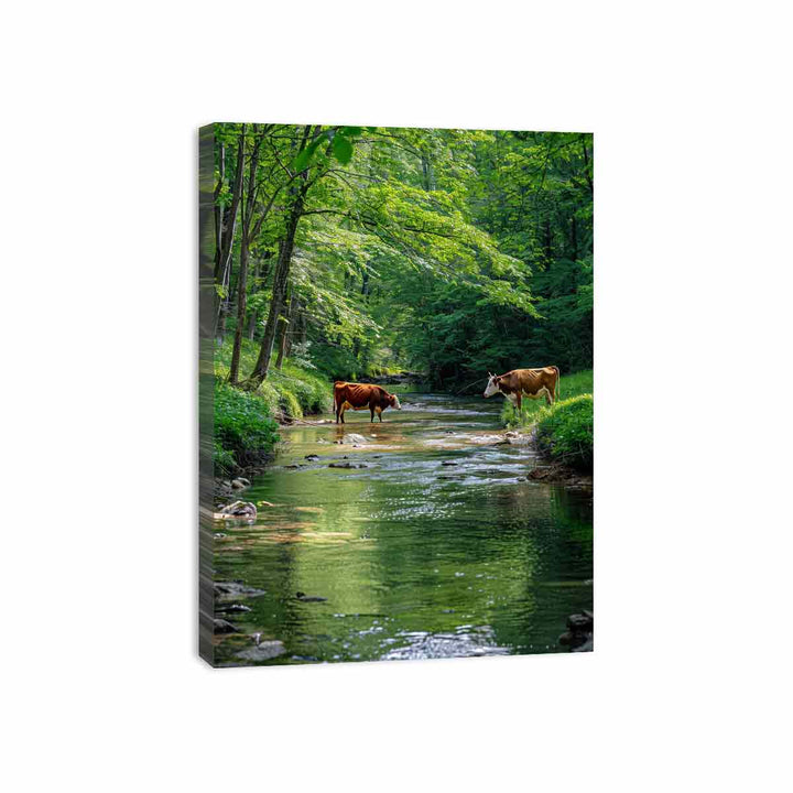 Magestic Cows Canvas Print