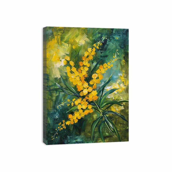 Wattle Canvas Print