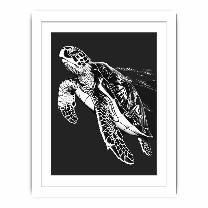 Turtle  Streched canvas