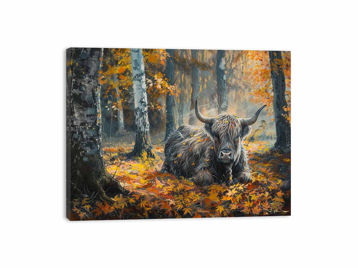 Scottish Highland  Canvas Print