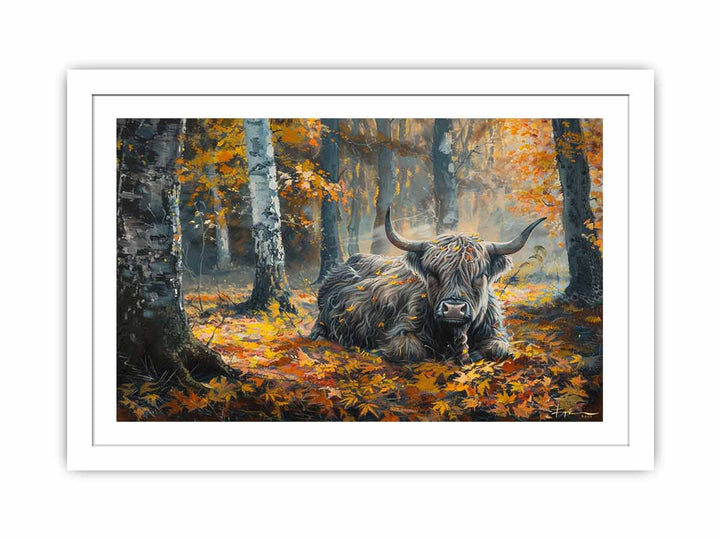 Scottish Highland  Streched canvas