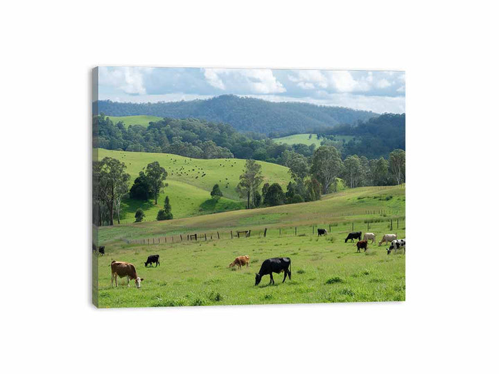 Aussie Farm  Canvas Print