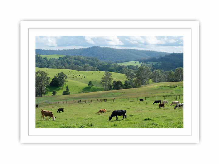 Aussie Farm  Streched canvas