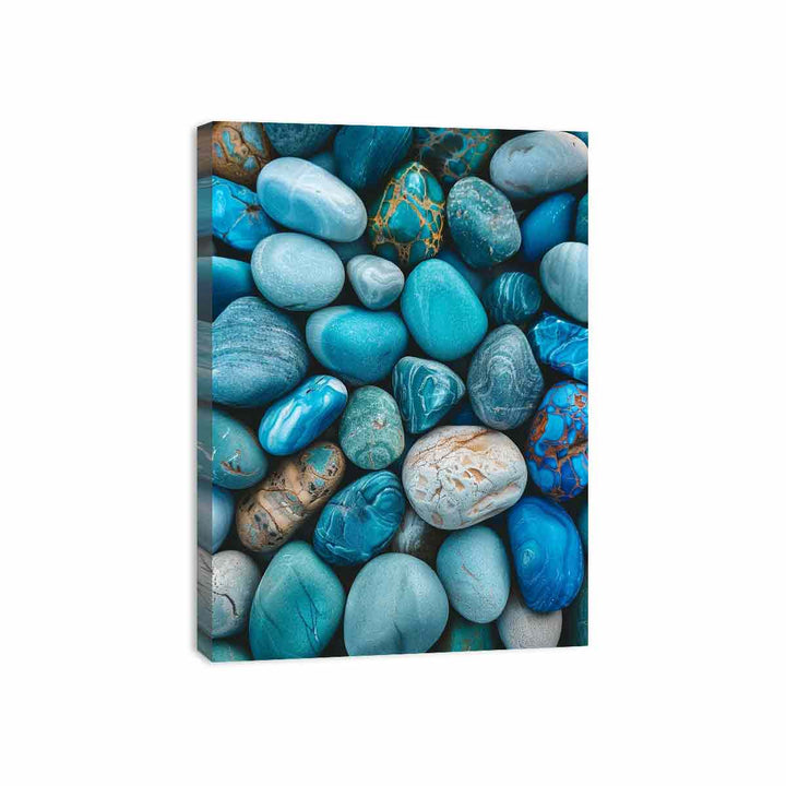 Pebbles Shell Canvas Print