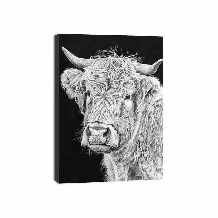 Henrietta The Highland Cow Canvas Print