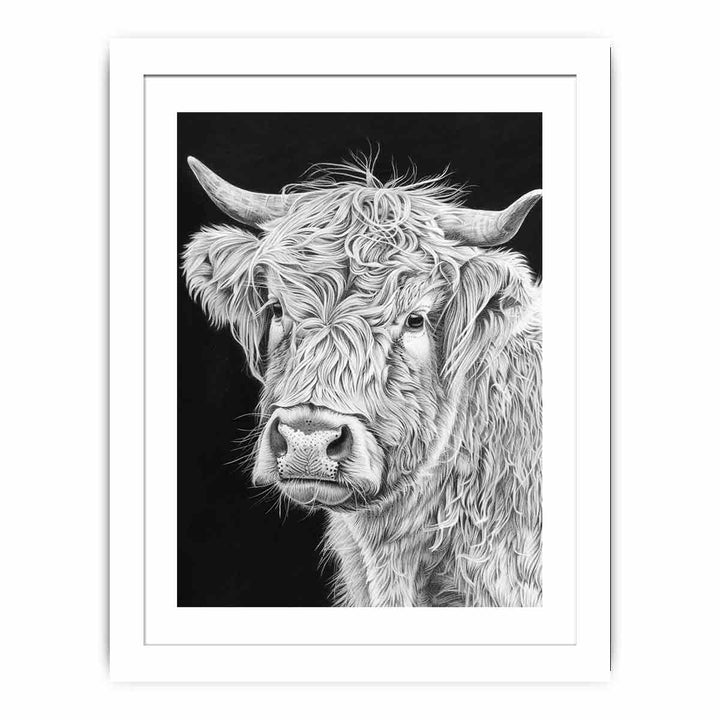 Henrietta The Highland Cow Streched canvas