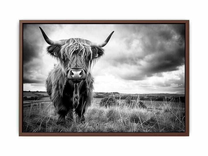 Stormy The Highland Cow  Poster