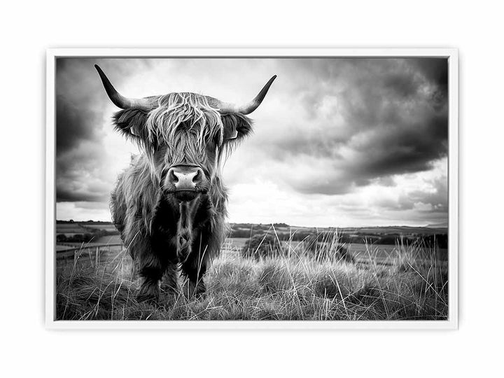 Stormy The Highland Cow Framed Print