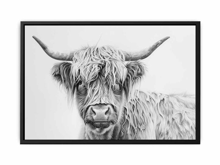 Scotland Highland Cow  Painting