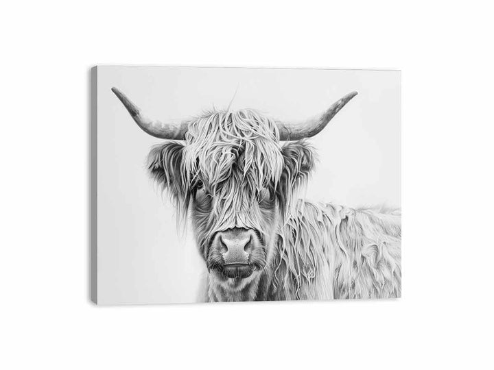 Scotland Highland Cow Canvas Print