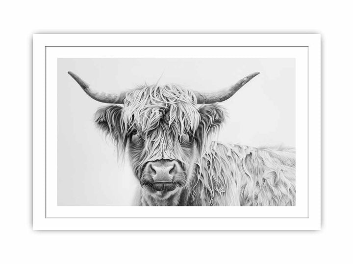 Scotland Highland Cow Streched canvas