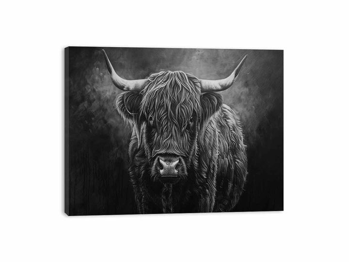 Highland Cow Black & white Canvas Print