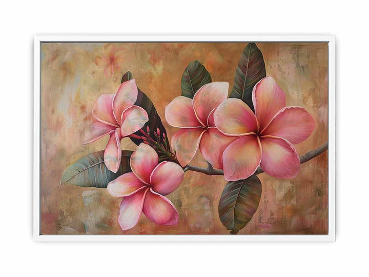 Pink Frangipani Framed Print