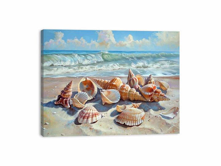 Collection of  Shells Canvas Print