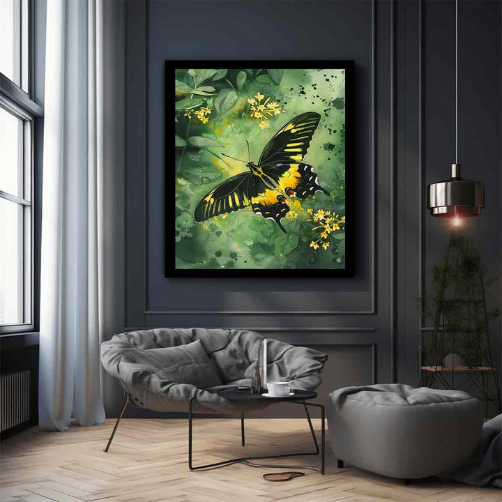 Birdwing Butterfly 