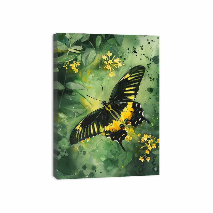 Birdwing Butterfly Canvas Print