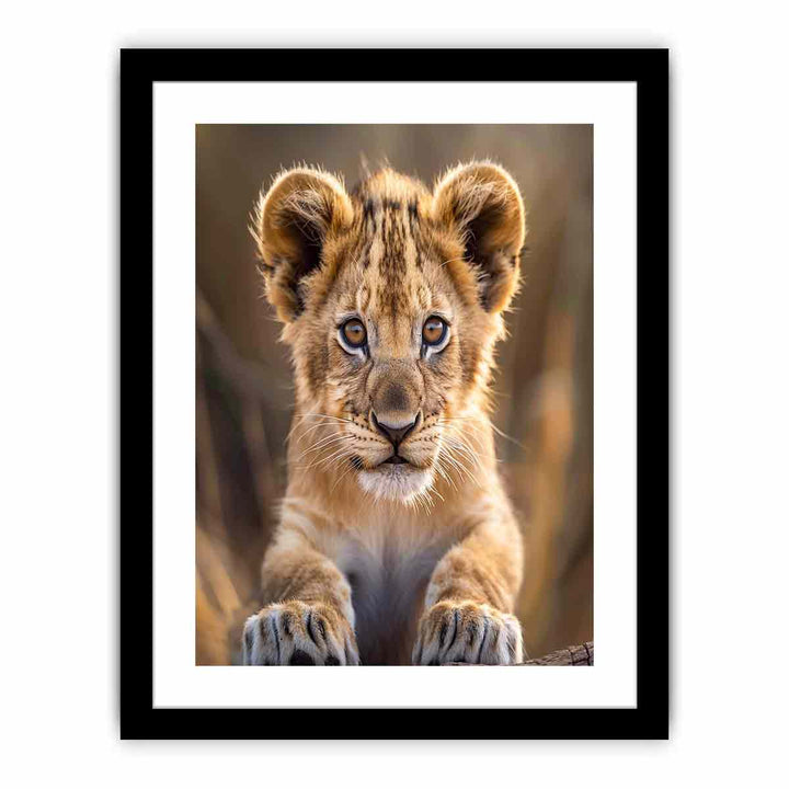 Lion Cub  Art Print