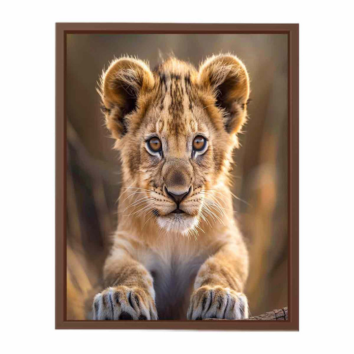 Lion Cub  Poster