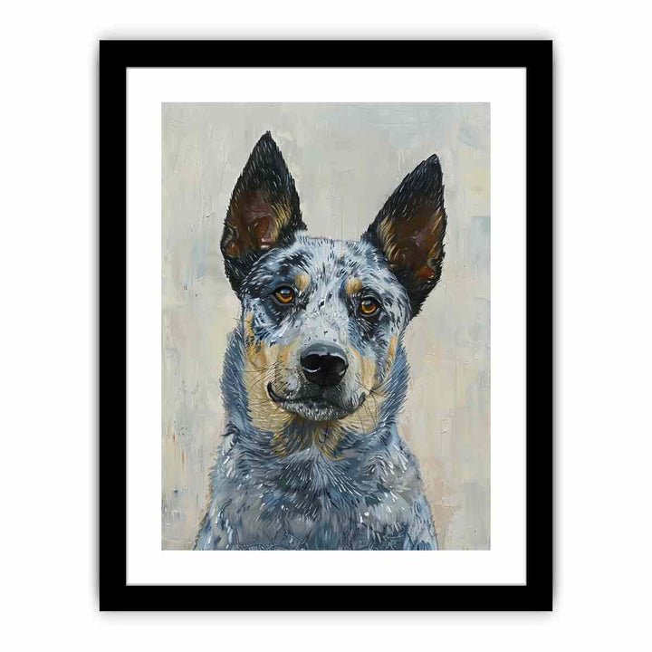 Blue Heeler  Art Print